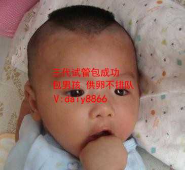 深圳借卵生娃_泰国试管婴儿中介和自助有什么区别